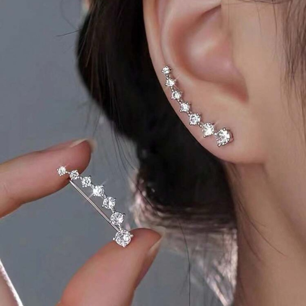 Pair Of Fashion Statement Earrings With A Free Gift!